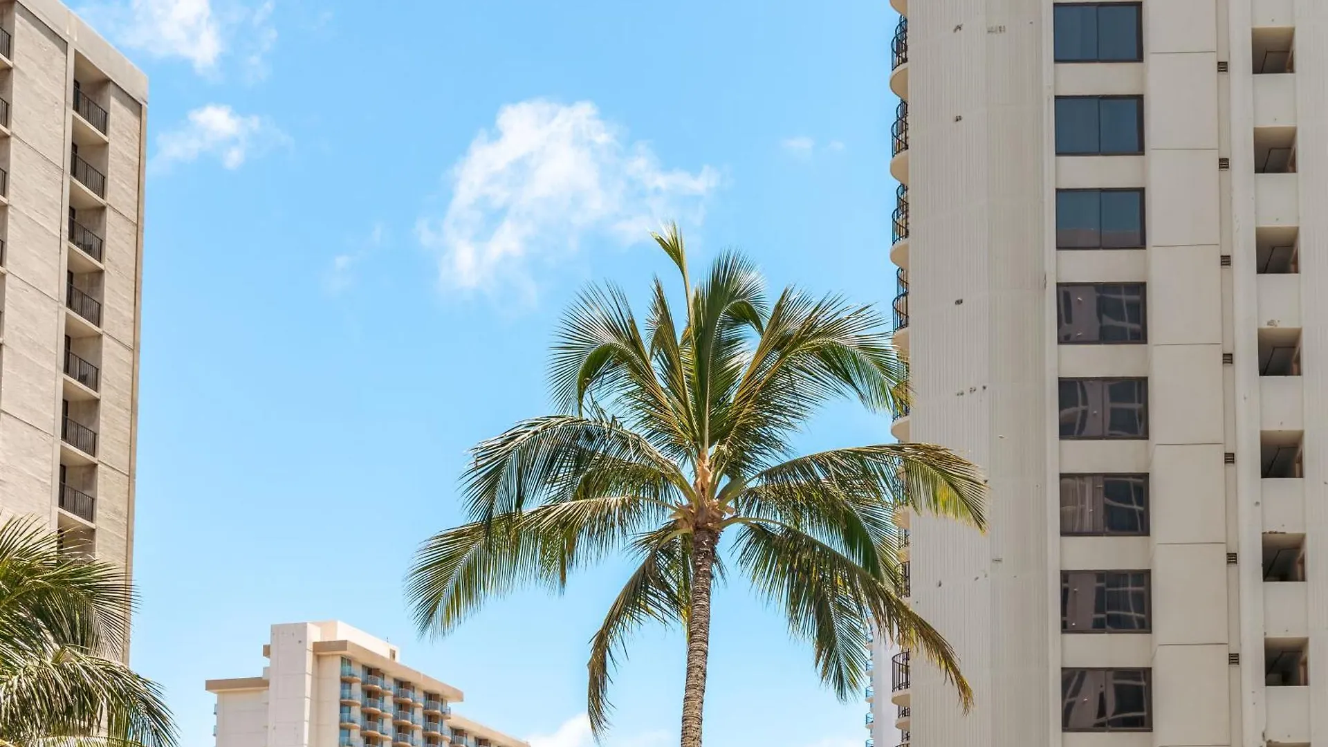 הונולולו Waikiki Banyan 1Br With Great Ocean Views, Steps To Beach & Parking!